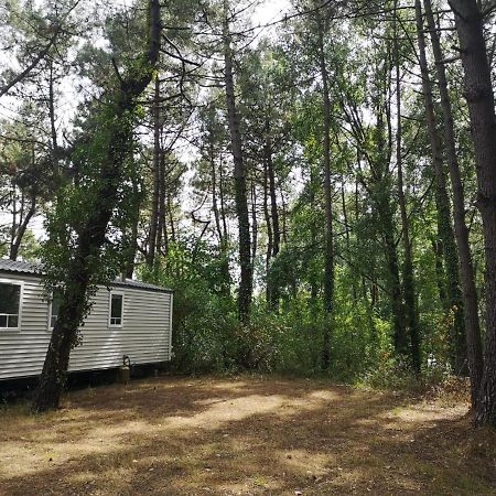 Le Ilo - Camping La Dune Blanche Camiers Ngoại thất bức ảnh