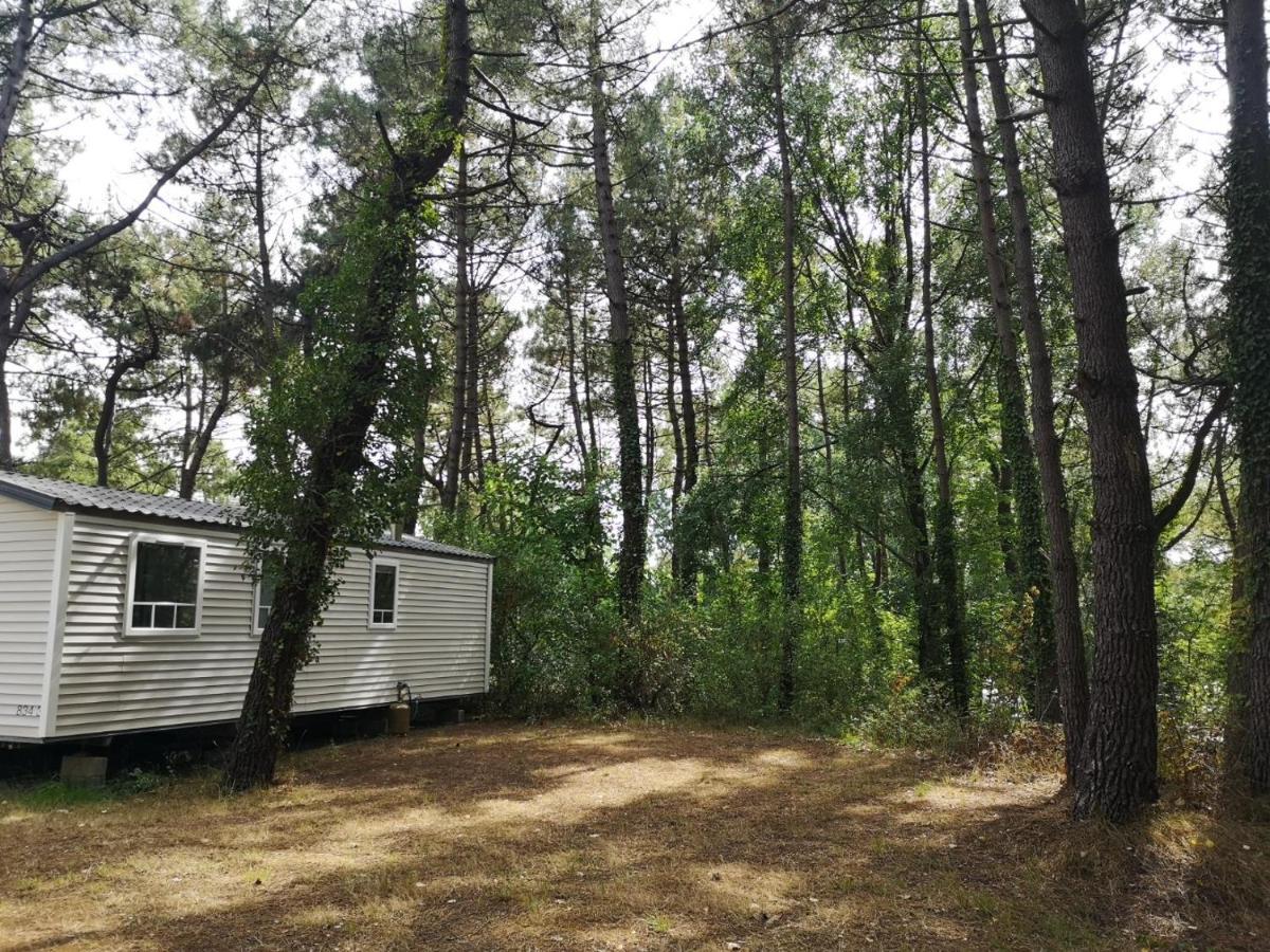Le Ilo - Camping La Dune Blanche Camiers Ngoại thất bức ảnh